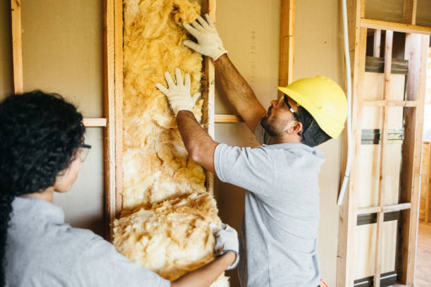 Best Attic Insulation Installation  in Central City, IL